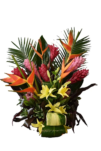 Medford Florist serves the Medford, NJ area and the surrounding communites