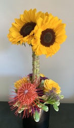 Sunny