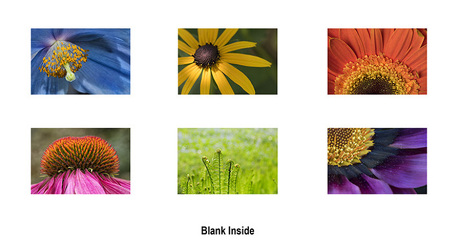 Floral Photography Card Set 1 