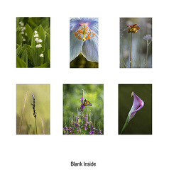 Floral Photography Card Set 