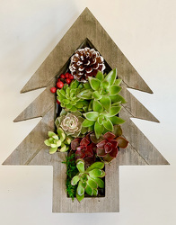 Succulent Christmas Tree 