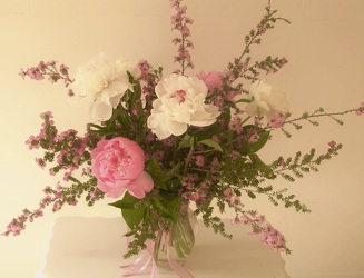 Peony Pleasure