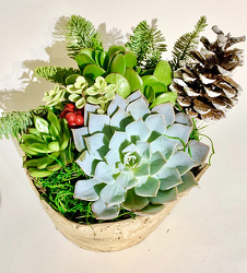 Succulent Bowl Planter 