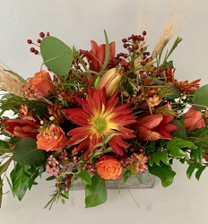Seasonal C/piece Designer's Choice
