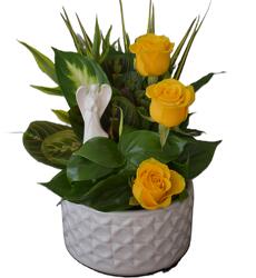 Peaceful Dish Garden