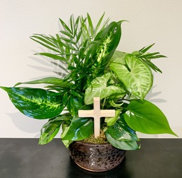 Sympathy Garden Foliage Planter