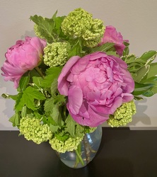 Viburnum And Peonies