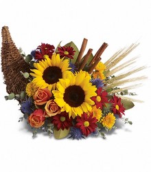 Cornucopia Of Color