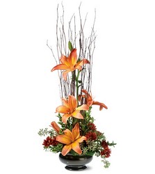 Fall Zen Lilies 