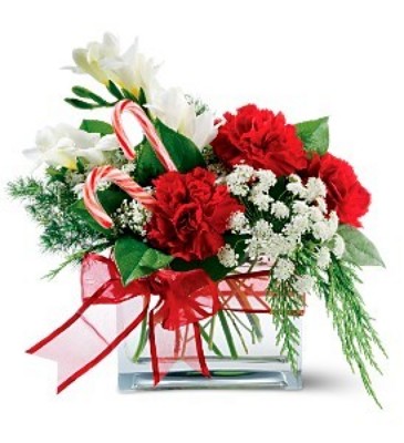 Candy Cane Christmas