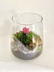 Succulent pyramid glass garden 