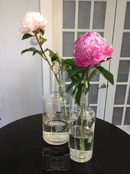 Etched Vase With Peony 