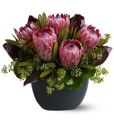 Particular To Protea