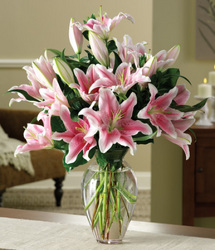 Oriental Lilies