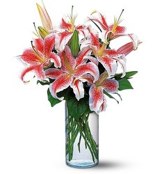 Lovely Lilies 