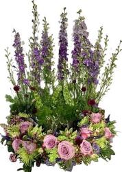 Tranquility Tranquility