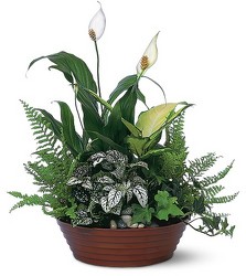 Foliage Planter 